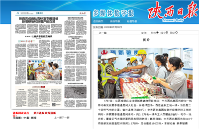 中天西北集團(tuán)瓏樾府項目高溫慰問——《陜西日報》